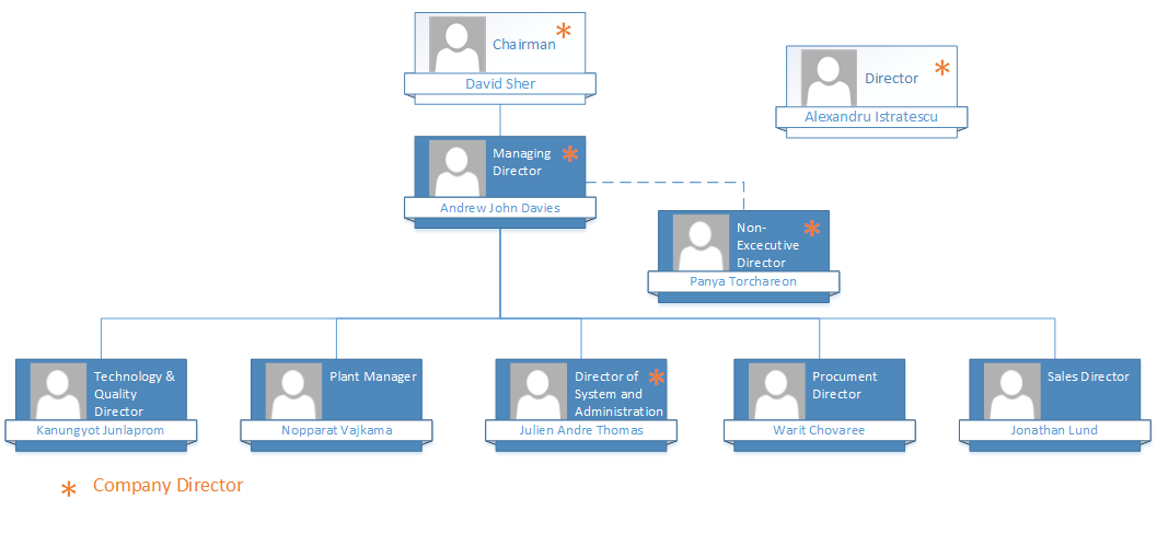 Management Team